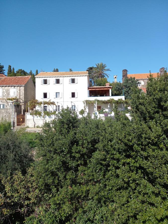 Villa Sea Dream Kolocep Gornje Celo Exterior photo