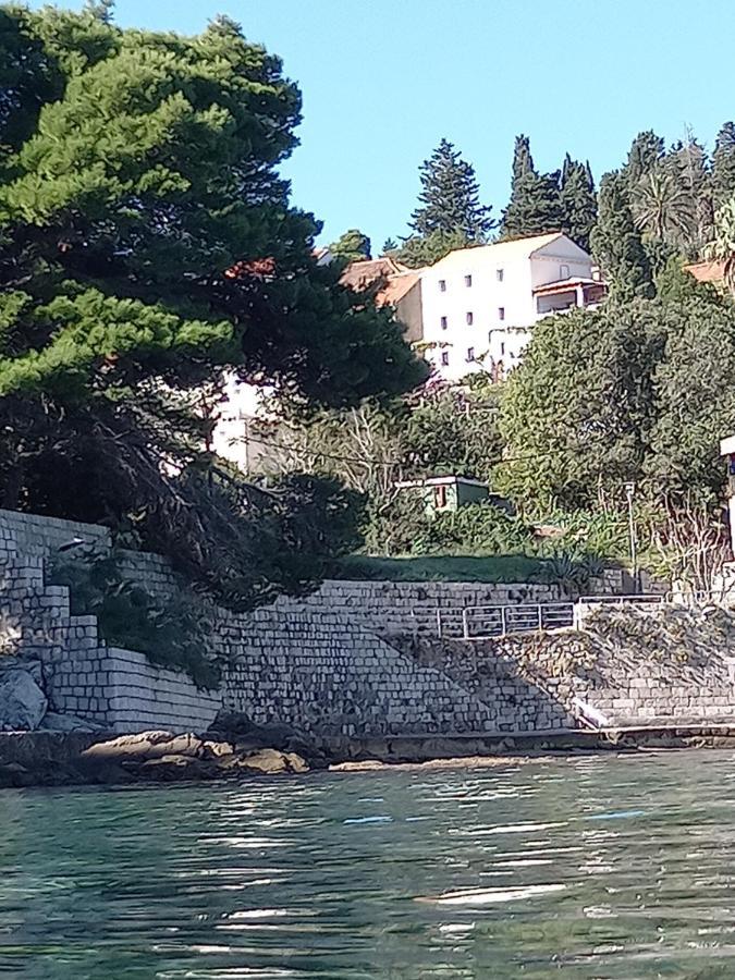 Villa Sea Dream Kolocep Gornje Celo Exterior photo